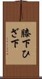 膝下 Scroll