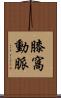 膝窩動脈 Scroll