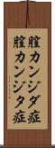 膣カンジダ症 Scroll
