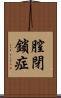 膣閉鎖症 Scroll