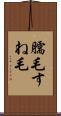 臑毛 Scroll