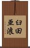 臼田亜浪 Scroll