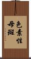 色素性母斑 Scroll