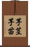 芋茎 Scroll