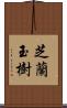 芝蘭玉樹 Scroll