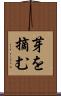芽を摘む Scroll