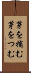 芽を摘む Scroll