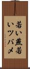 若い燕 Scroll