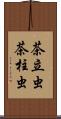 茶立虫 Scroll