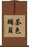 茶色蛹貝 Scroll