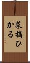 菜摘ひかる Scroll