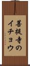 菩提寺のイチョウ Scroll