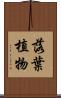落葉植物 Scroll