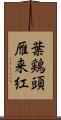 葉鶏頭;雁来紅 Scroll