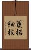 葼 Scroll