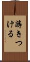 蒔きつける Scroll