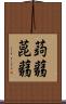 蒟蒻 Scroll