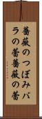薔薇のつぼみ Scroll