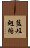 藍短翅鶇 Scroll