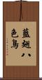 藍翅八色鳥 Scroll