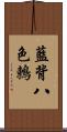 藍背八色鶇 Scroll