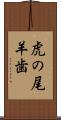 虎の尾羊歯 Scroll