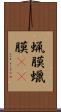蝋膜 Scroll