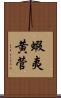 蝦夷黄菅 Scroll
