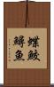 蝶鮫 Scroll