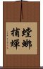 螳螂捕蟬 Scroll