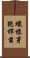 蠟樣芽孢桿菌 Scroll