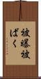 被曝 Scroll