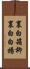 裏白箱柳 Scroll