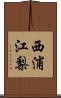 西浦江梨 Scroll
