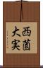 西薗大実 Scroll