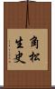 角松生史 Scroll