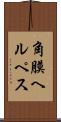 角膜ヘルペス Scroll