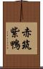 赤筑紫鴨 Scroll