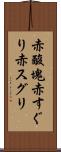 赤酸塊 Scroll