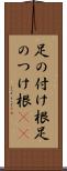 足の付け根 Scroll