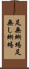 足無蜥蜴 Scroll