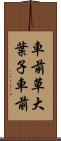 車前草 Scroll