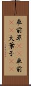 車前草(rK) Scroll