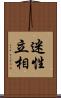 迷性立相 Scroll