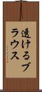 透けるブラウス Scroll