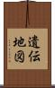遺伝地図 Scroll