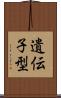 遺伝子型 Scroll