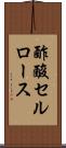 酢酸セルロース Scroll
