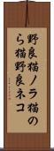 野良猫 Scroll