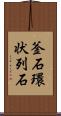 釜石環状列石 Scroll